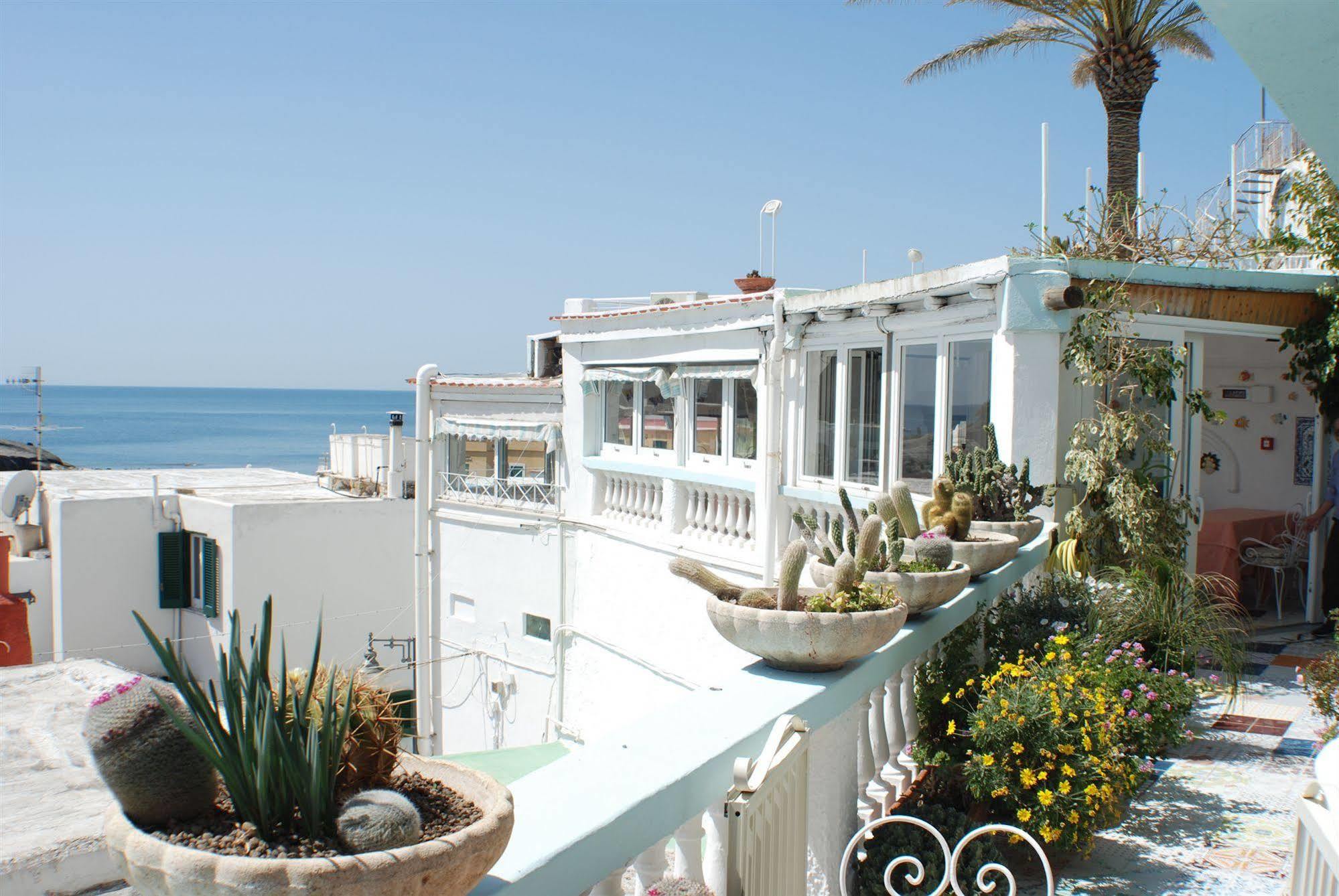 Hotel La Palma Sant'Angelo  Bagian luar foto