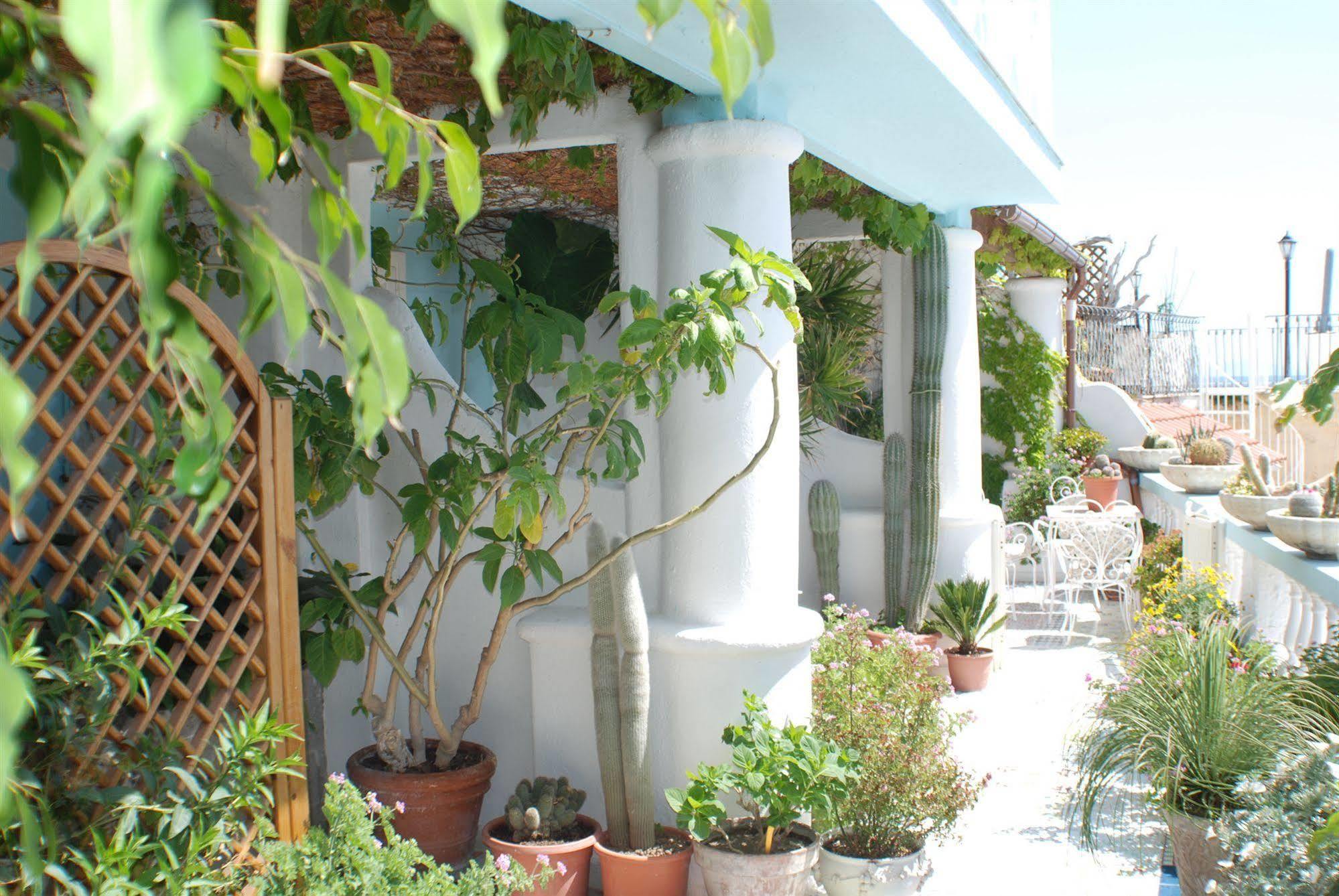 Hotel La Palma Sant'Angelo  Bagian luar foto